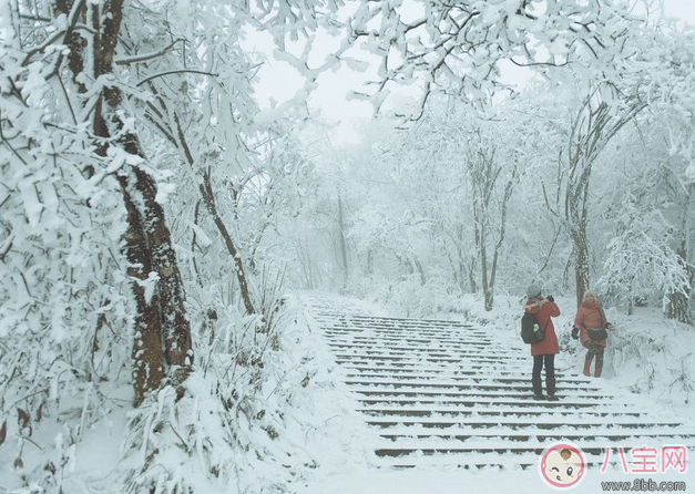 回家|下雪天高铁会停运吗 下雪对高铁火车有影响吗