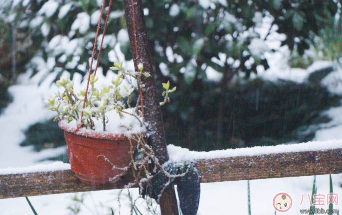 形容2018第一场雪的心情 表达下雪的经典的说说朋友圈