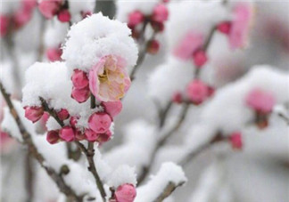 冬天下的雪能吃吗 小孩吃雪的危害有哪些