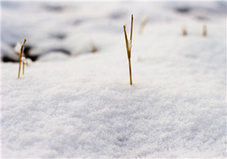 孕妇梦到地上厚厚的雪好不好 孕妇梦见雪是生男还是生女