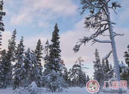 雪景很美怎么发朋友圈 描写雪景很美的心情说说图片