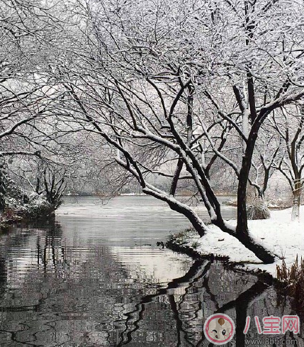 雪景很美怎么发朋友圈 描写雪景很美的心情说说图片