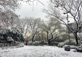 雪景很美怎么发朋友圈 描写雪景很美的心情说说图片