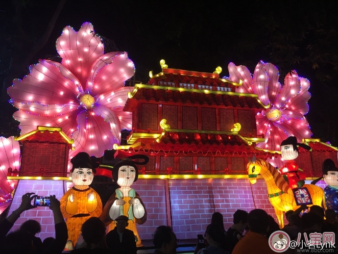 元宵节看花灯图片2018元宵节看灯花说说朋友圈