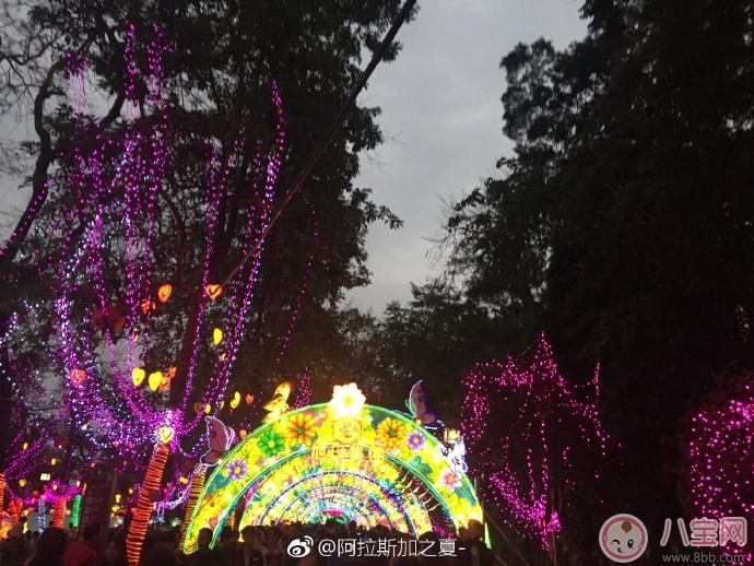 元宵节看花灯图片 2018元宵节看灯花说说朋友圈