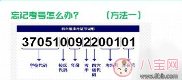 英语四六级忘记考号怎么办 英语四六级不记得考号怎样查成绩