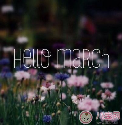 三月|三月你好早安心语 3月你好2月再见的说说句子图片