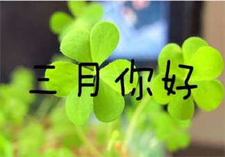 三月你好早安心语 2018三月你好说说朋友圈