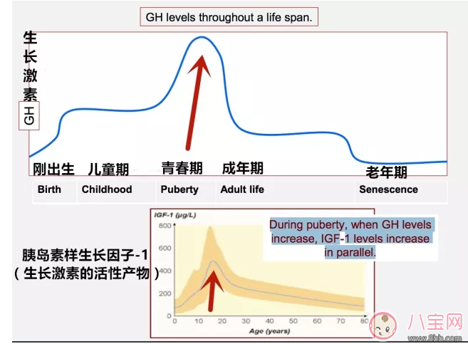 如何借助睡觉来帮助孩子长高 让孩子健康睡觉的方法