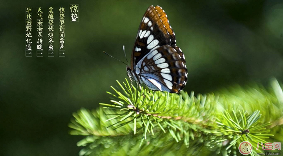 惊蛰节气祝福语说说2018惊蛰唯美图片祝福短语句子