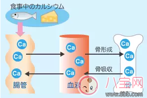 孩子出牙晚入睡难是什么原因 怎么改变孩子出牙晚的现状