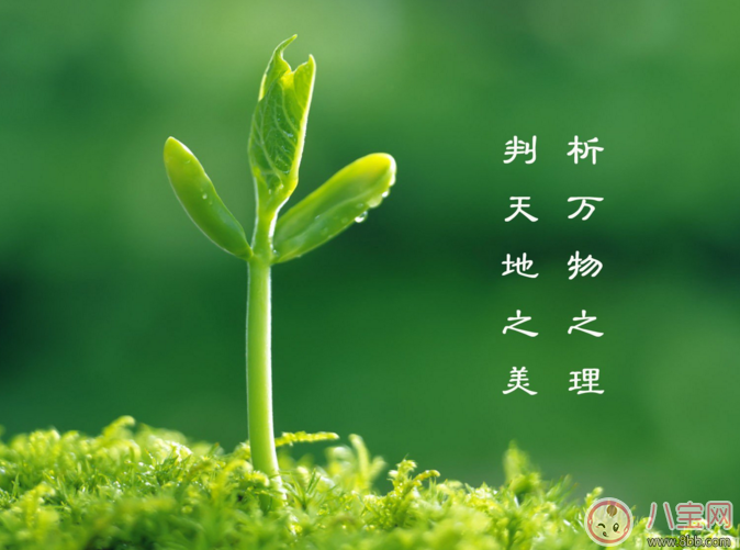 节日|植树节是怎么而来的 怎样给孩子讲植树节的由来