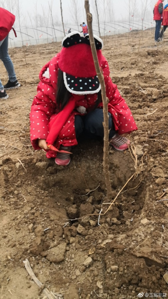 植树节手抄报图片大全 2018元狗年植树节图画