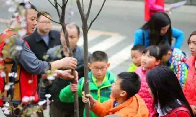 植树节手抄报图片大全 2018元狗年植树节图画