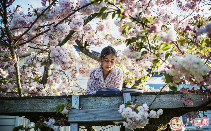 带孩子赏樱花晒图心情说说 带孩子赏樱花晒图句子短语朋友圈