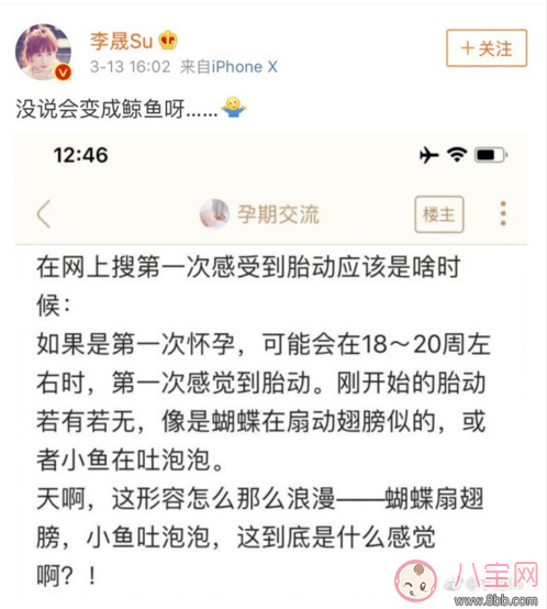 李晟调侃胎动像鲸鱼 第一次胎动是什么感觉