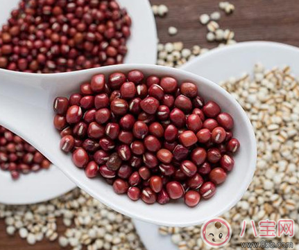 吃什么食物可以祛湿 孕妇祛湿吃什么好