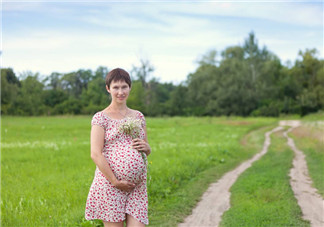 孕妇可以养非洲菊吗 孕妇应该养哪些花