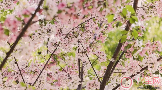 春天宝宝花粉过敏怎么办2018 宝宝花粉过敏吃哪些药