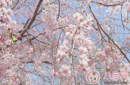 春天带孩子踏青晒图说说朋友圈  春暖花开去踏青心情说说