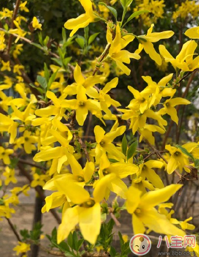 春天带孩子踏青晒图说说朋友圈  春暖花开去踏青心情说说