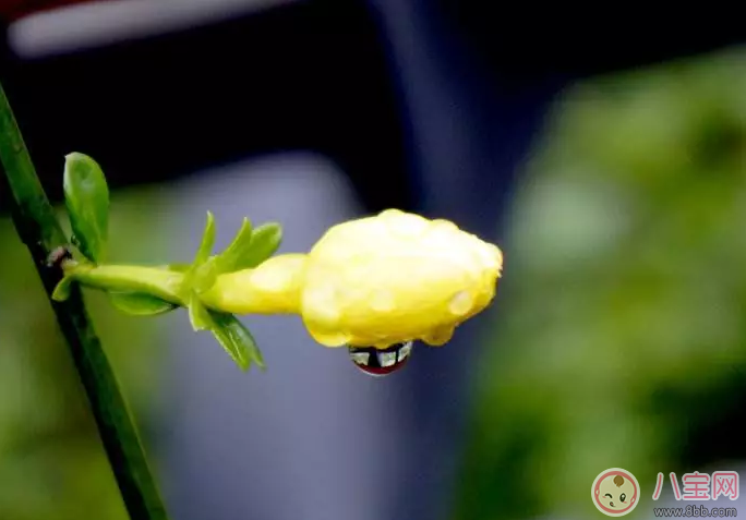 孩子|孩子应该怎么过清明节 清明节孩子容易生病怎么办