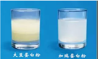 加瑞乳清蛋白粉好吗 加瑞乳清蛋白粉怎么样好不好