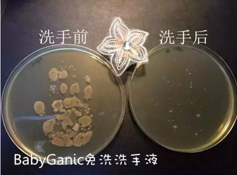 甘尼克宝贝babyganics免洗洗手液宝宝多大可以用 babyganics免洗洗手液好不好