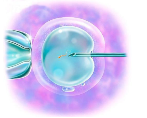 冻胚移植怎么样2018 冻胚移植成功率高吗
