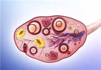 不孕与黄体素的分泌有关系吗 黄体素适应症有哪些