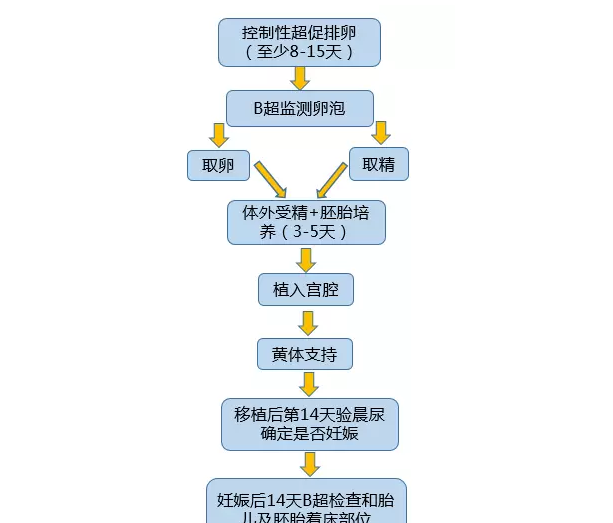 试管婴儿|做一次试管婴儿要几天 试管婴儿周期大概多长时间