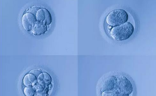 做试管婴儿前男方要做什么 哪种情况下合适做试管婴儿