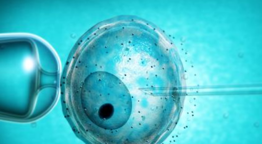 胚胎培养和囊胚培养一样吗 什么情况适合做囊胚培养