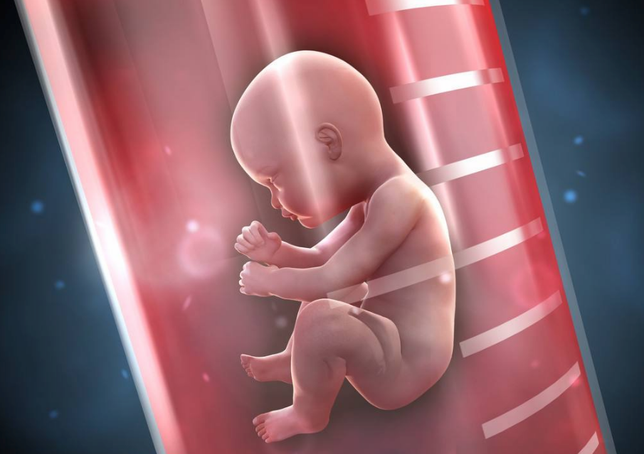 试管婴儿胚胎移植后几天着床 试管婴儿移植后什么时候验孕