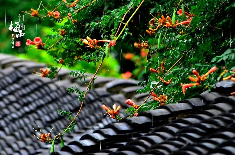 芒种之后怎么给孩子除湿气 孩子芒种养生指南2018