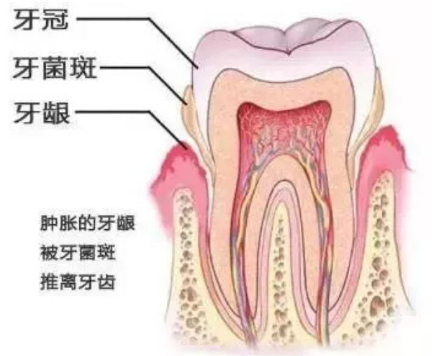 宝宝|儿童电动牙刷刷头选什么形状 儿童电动牙刷如何挑选