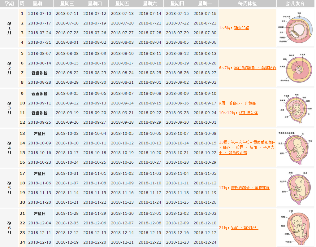 2018末次月经7月10日预产期是什么时候 末次月经7月10日推算孕周表