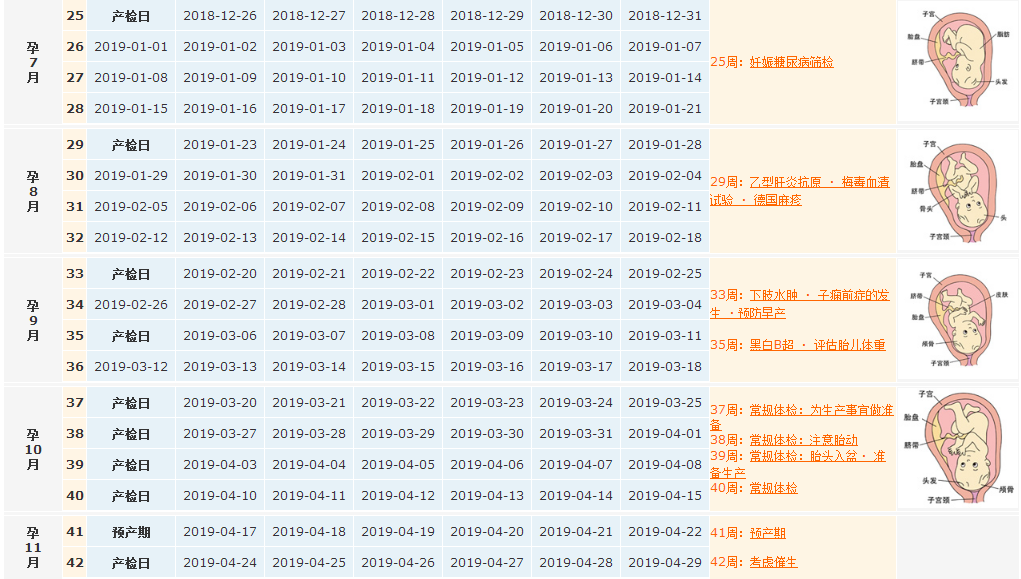 2018末次月经7月10日预产期是什么时候 末次月经7月10日推算孕周表