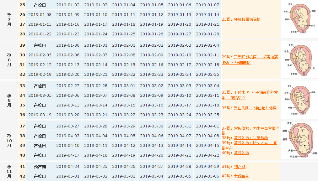 2018末次月经7月17日预产期是什么时候 末次月经7月17日推算产检表