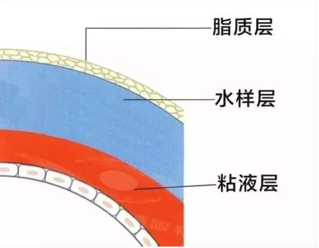 孩子揉眼睛会对孩子产生什么影响 孩子揉眼睛危害