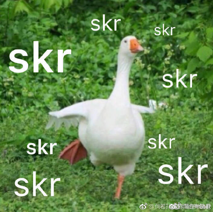 skr搞笑表情包-- 正文  skr这个词,至今在中文汉语世界和英语大词典里