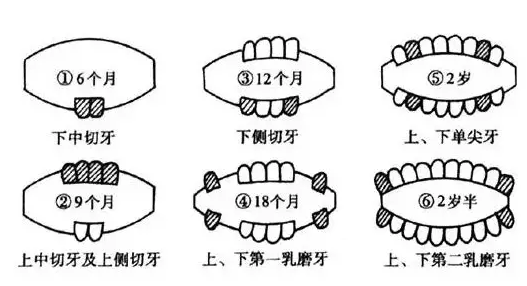 孩子|怎么让孩子学会抓握食物 孩子不会抓食物怎么教