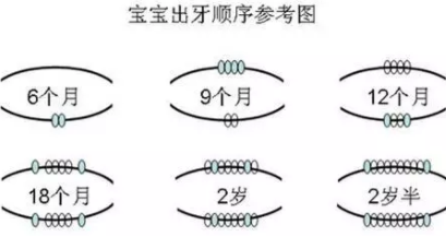 宝宝出牙顺序不对是为什么 宝宝出牙顺序不对怎么办