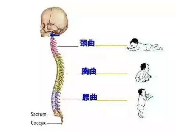 孩子|宝宝脊柱发育不正常是什么情况造成的 保护孩子脊柱怎么做比较好