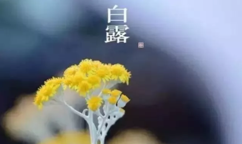 白露相关的古诗词 白露节气诗词赏析