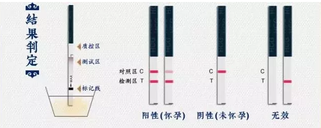 验孕棒和验孕试纸哪个更准确 验孕棒和验孕试纸的使用方法