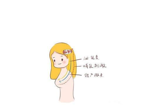 泌乳素过高会导致不孕吗 泌乳素过高怎么办