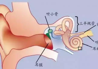 宝宝经常抓耳朵怎么办  宝宝抓耳朵的原因