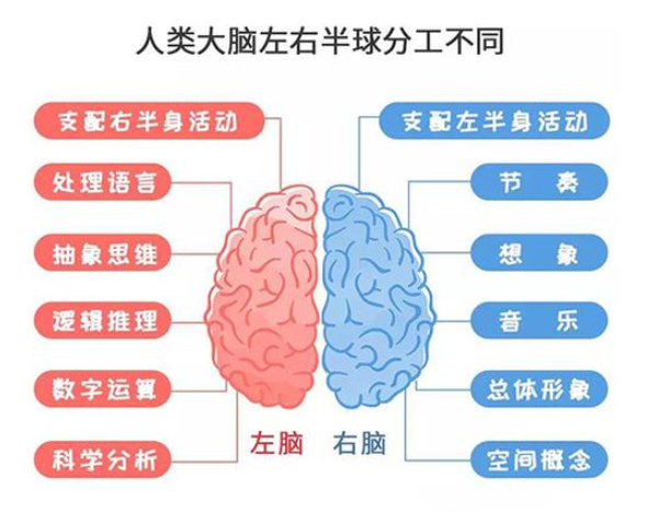 孩子左撇子更聪明吗 孩子左撇子需不需要纠正