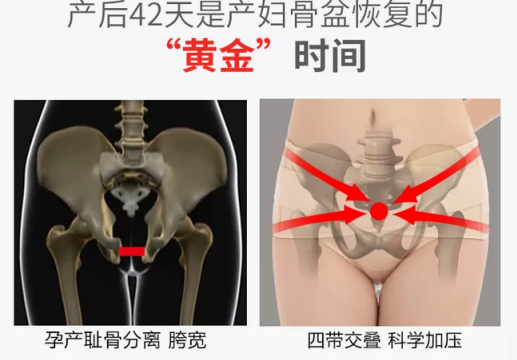 产后盆骨带什么时候用最好 盆骨带最佳使用时间